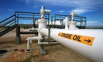 FG seeks UAE investment in oil, gas infrastructure, says pipelines have outlived lifespan