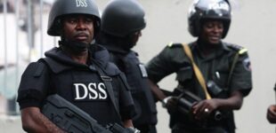 Lawyer: How DSS operatives invaded Ogun court to arrest defendants