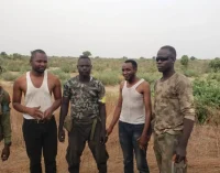 Troops rescue two aid workers abducted by ISWAP in Borno