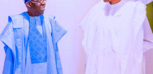 One year in office: Buhari seeks more support for Tinubu, calls for unity