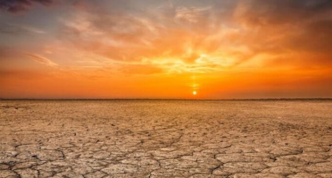 Global warming to reach record high within next five years