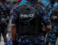 Police arrest ‘members of drug cartel’ in Kano, recover bags of hemp