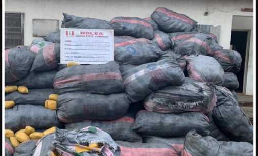 NDLEA intercepts 8,852kg of cannabis in Lagos