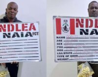 Two businessmen excrete 193 cocaine pellets — after three days in NDLEA custody