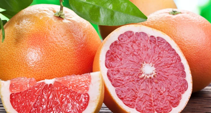 FACT CHECK: Does consuming grapefruit while taking amlodipine cause cardiac arrest?