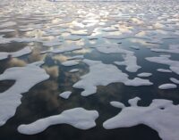 FACT CHECK: No, short term data can’t determine overall decline of arctic sea ice