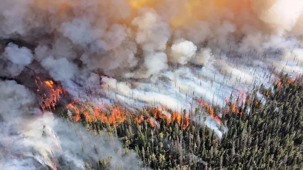 Canada Fires Caused By Climate Change