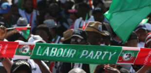 LP to labour: Resume negotiation with FG… N494k minimum wage demand unrealistic