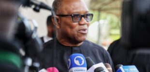 ‘Just do your job’ — Obi knocks FG over spate of killings in Plateau, Benue