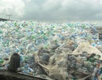 Climate Watch: NCF to provide practical solutions to protect environment, reduce plastic pollution