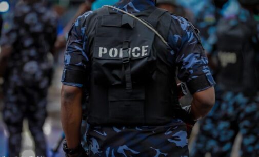 Police arrest eight ‘armed robbers’ on Kaduna-Abuja road