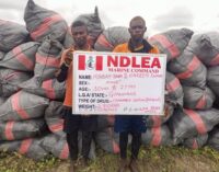 NDLEA intercepts ’50 jumbo bags’ of imported cannabis in Lagos