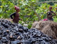 Enugu government bans illegal coal mining — after TheCable’s investigation