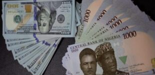 Naira strengthens against dollar at parallel, official markets