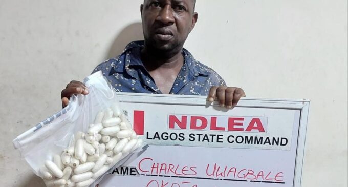 NDLEA arrests ‘drug lord’ in Lagos, destroys 33 hectares of cannabis farms in Ondo, Edo