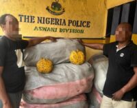 Two suspects arrested as police seize ‘N13m illicit drugs’ in Lagos