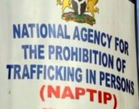 ‘Malian girls being trafficked to Edo for prostitution’ — NAPTIP raises alarm