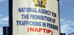 NAPTIP signpost