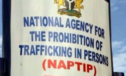 ‘Malian girls being trafficked to Edo for prostitution’ — NAPTIP raises alarm