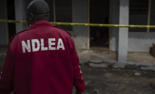 NDLEA operatives ‘kill two persons’ during Lagos raid