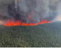 Di carbon emissions wey comot from di Canada wildfires pass di ones from di last 100 years?
