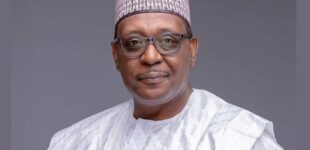 We’re implementing multi-sectoral approach to end malaria in Nigeria, says Pate