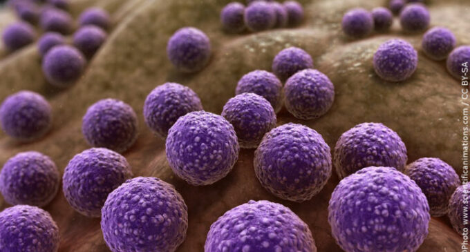 Nigeria to benefit as UK announces £210k funding for tackling antimicrobial resistance