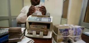 Dollar strengthens against naira at parallel, official windows