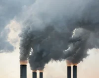 Climate Facts: Carbon dioxide contributes the most to global warming, says IPCC