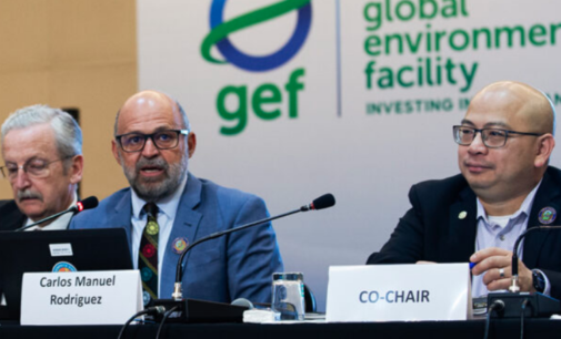 GEF launches biodiversity fund to accelerate investments, address loss