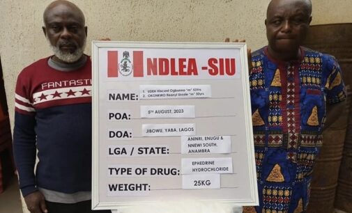 Four kingpins arrested as NDLEA bursts drug syndicates in Lagos