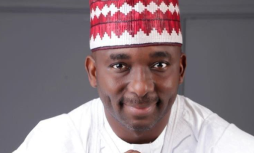 Tribunal sacks Kano’s NNPP rep over primary school certificate forgery