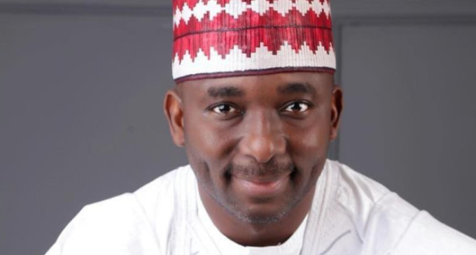 Tribunal sacks Kano’s NNPP rep over primary school certificate forgery
