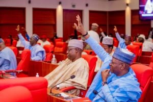 Nigerian senate