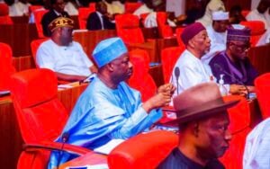 The Nigerian senate