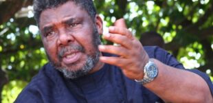 Pete Edochie to Nigerians: Stop the nonsense narratives about Junior Pope