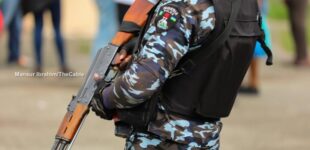Police arrest ‘members of gang terrorising residents’ in Kaduna