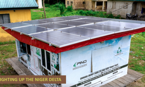 Foundation leverages N12.9 billion to facilitate economic growth and peace in Nigeria’s Niger Delta