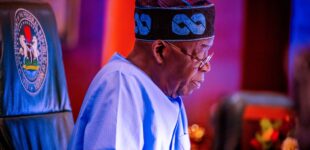 JUST IN: Tinubu directs review of governing boards of tertiary institutions