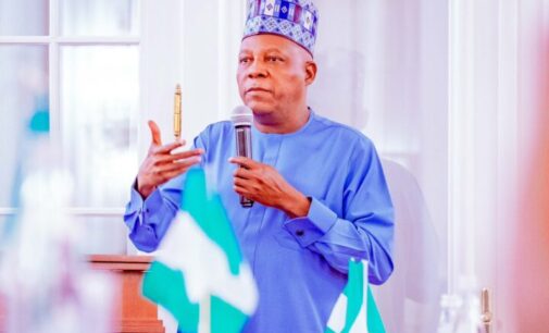 Nigeria positioned to lead Africa in agribusiness, Shettima tells investors