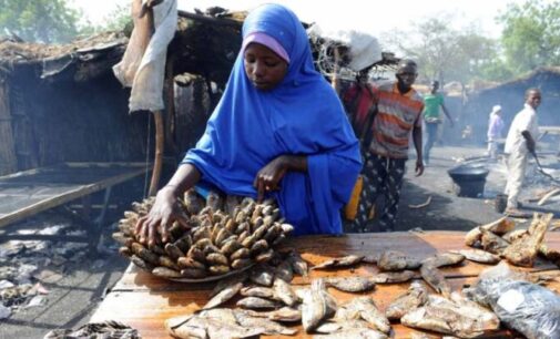 Baga fish retailers protest over ‘mismanagement of N3bn revenue’