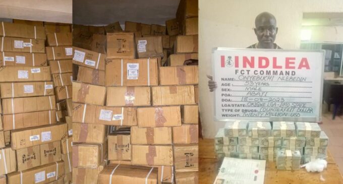NDLEA intercepts ‘fake’ $20m cash in Abuja, recovers N4.8bn opiods in Lagos