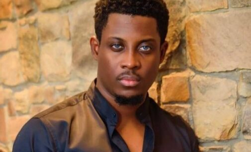 Seyi Awolowo, BBNaija and the absence of consequence