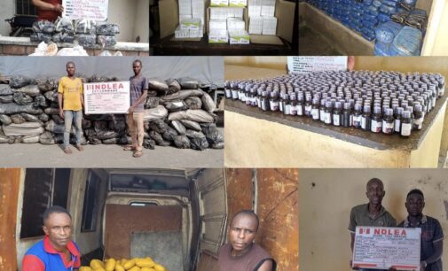 NDLEA intercepts four tons of illicit drugs in seven states