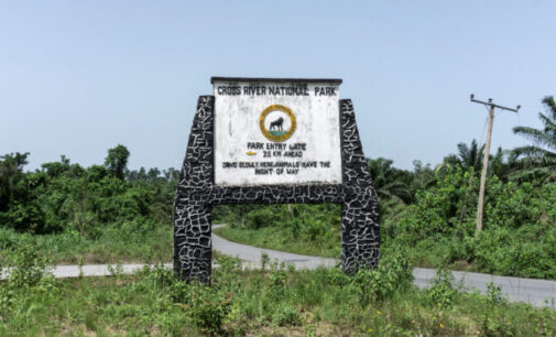 NGOs raise alarm over mining activities in Cross River national park