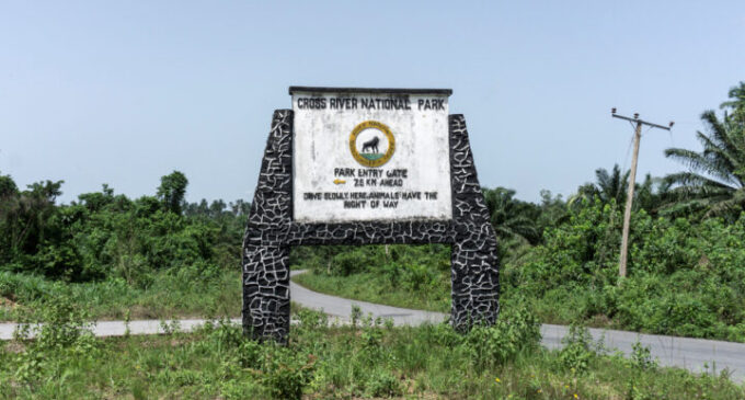 NGOs raise alarm over mining activities in Cross River national park