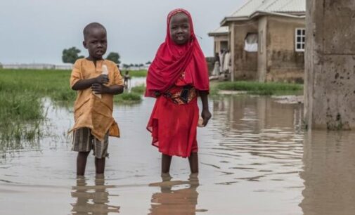 Report: 427,000 children displaced in Nigeria due to climate crisis in 2022
