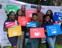 Young Nigerians need peaceful society to thrive, says SDGs advocate
