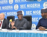 SEC DG to FG: Embrace non-interest capital market for greater FX inflows