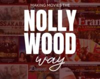 BOOK REVIEW: Making movies the Nollywood way